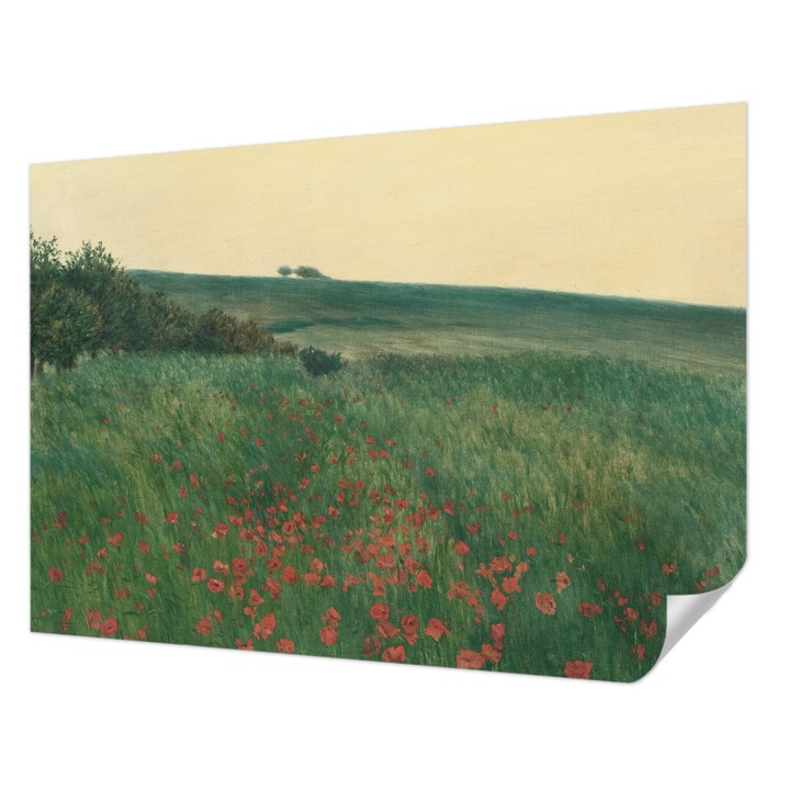 Fali Fotótapéta Autodeziv, Wallfluent, Campuri de mac, Verde, 312 x 219 cm, Pentru Living, Birou, Hol, 010170060960000285351