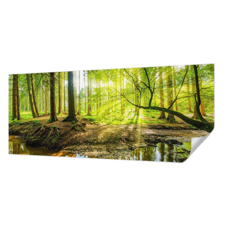 Fali Fotótapéta Autodeziv, Wallfluent, Peisaj verde, Verde, 250 x 104 cm, Pentru Interior, Usor De Curatat, 010170060020000007693