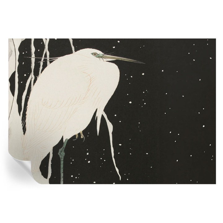 Fototapet autocolant, Tulup, Pasare de iarna, Alb, 208x146cm