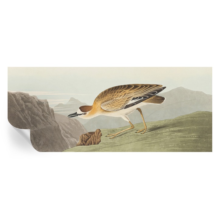 Tapet Autocolant De Perete, Tulup, Pasare de munte, Maro, 250 x 104 cm, Decorativ, Usor De Montat Si Rezistent, 010170060020000285298