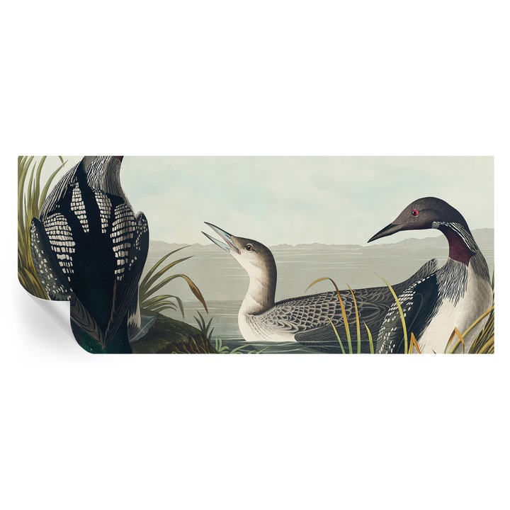 Fototapet, tulup, Pasari deasupra apei, autoadeziv, negru, 250x104cm