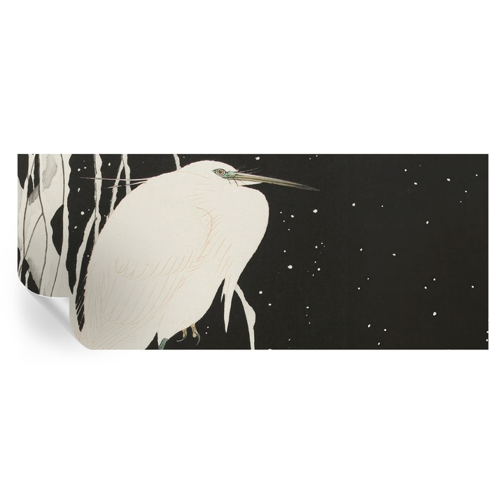 Fototapet Tulup, Pasare de iarna, Alb, 250x104cm, Autocolant, Lavabil