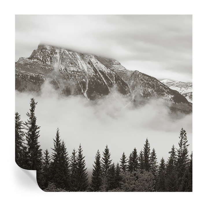 Tapet autocolant, tulup, peisaj montan, multicolor, 250x250cm, rezistent la murdarie