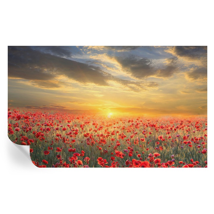 Tapet Autocolant Tulup, Motiv Camp de Maci, Roșu, 416x254cm, Rezistent la Umiditate