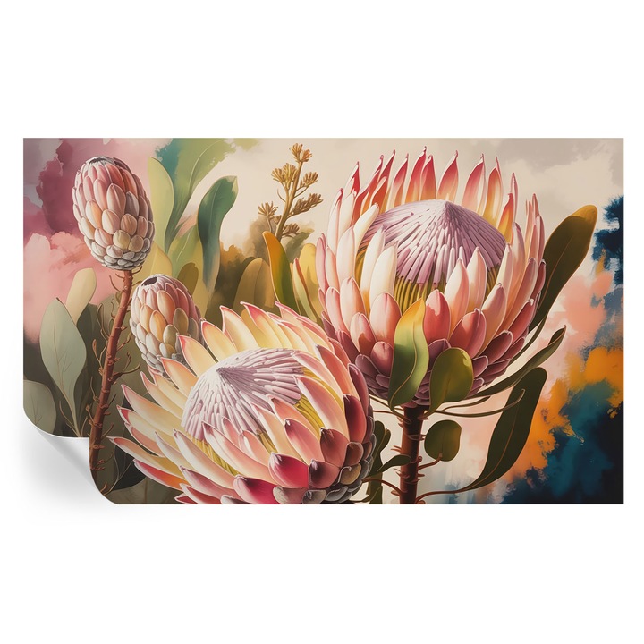 Öntapadós Tapéta Fali Dekoráció, Tulup, Protea virágok, Rózsaszín, 416 x 254 cm, Dekor, Nedvességálló, 010170060070000284812
