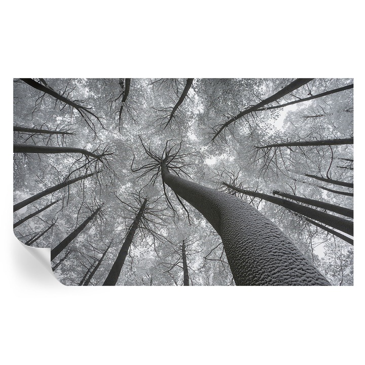 Öntapadós Dekor Tapéta, Tulup, Téli táj, Fekete és fehér, 416 x 254 cm, Dekoráció, Könnyen Felszerelhető És Tisztítható, 010170060070000285014