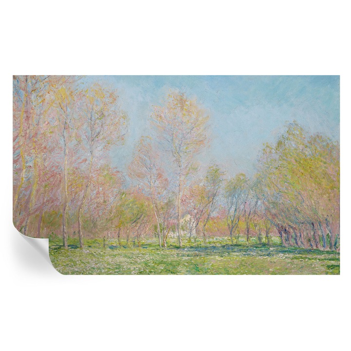 Öntapadós Fotótapéta Falra, Tulup, Tavaszi park, Kék, 416 x 254 cm, Dekoráció, Előszobába, Konyhába, 010170060070000285439