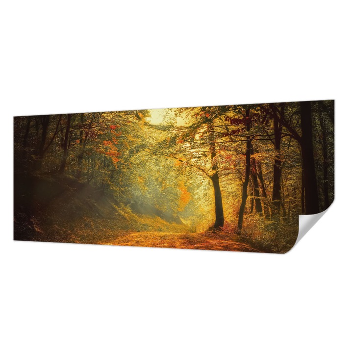 Tapet Autocolant De Perete, Wallfluent, Peisaj de toamna, Galben, 250 x 104 cm, Pentru Sufragerie, Dormitor, 010170060020000001585