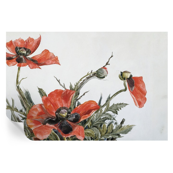 Öntapadós Tapéta Falra, Tulup, Piros pipacsok, Piros, 104 x 70 cm, Dekoráció, Erős Ragasztó, 010170060170000285465