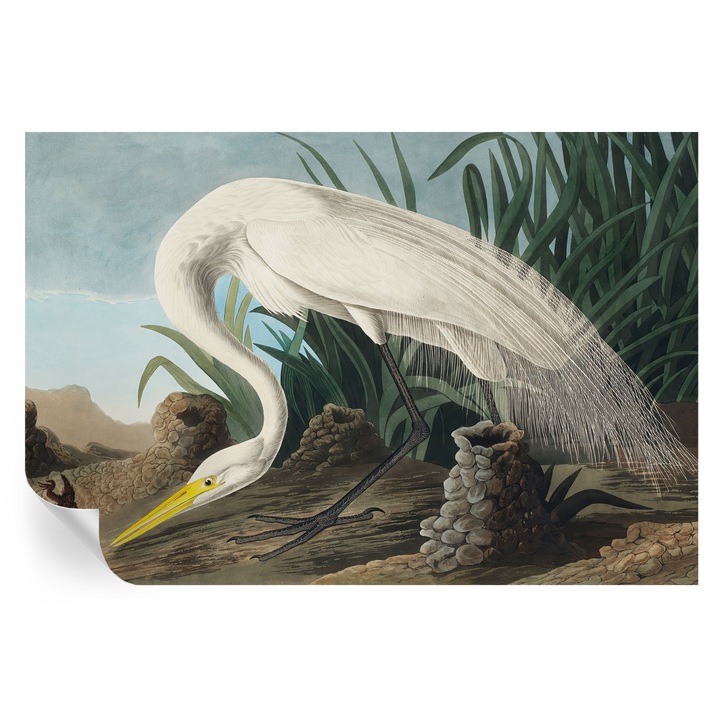 Öntapadós Dekor Tapéta, Tulup, Fenséges gém, Fehér, 104 x 70 cm, Dekoráció, Könnyen Tisztítható, 010170060170000285657