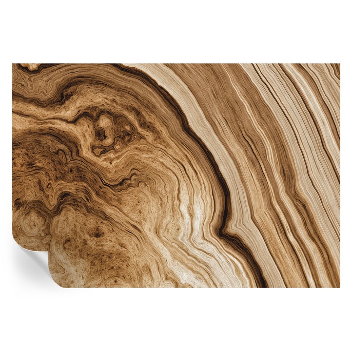 Öntapadós Tapéta Fali Dekoráció, Tulup, Faerezet, Barna, 152 x 104 cm, Dekor, Könnyen Felszerelhető, 010170060180000057133