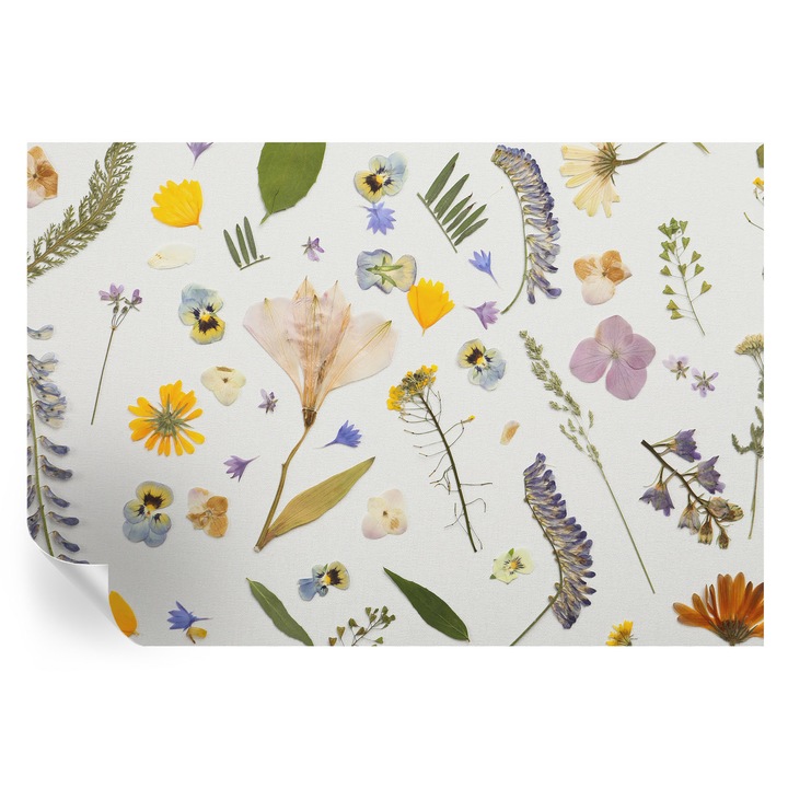 Tapet Autodeziv De Perete, Tulup, Flori de primavara, Alb, 152 x 104 cm, Decorativ, Lavabil, 010170060180000285234