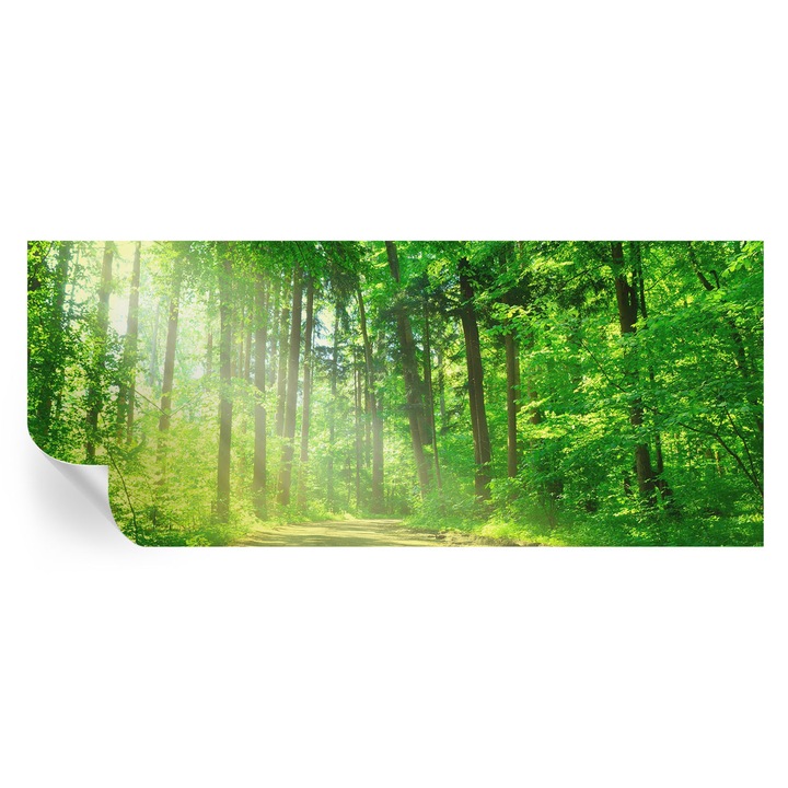 Öntapadós Tapéta Fali Dekoráció, Tulup, Erdei ösvény, Zöld, 250 x 104 cm, Dekor, Nedvesség- És Foltálló, 010170060020000001454