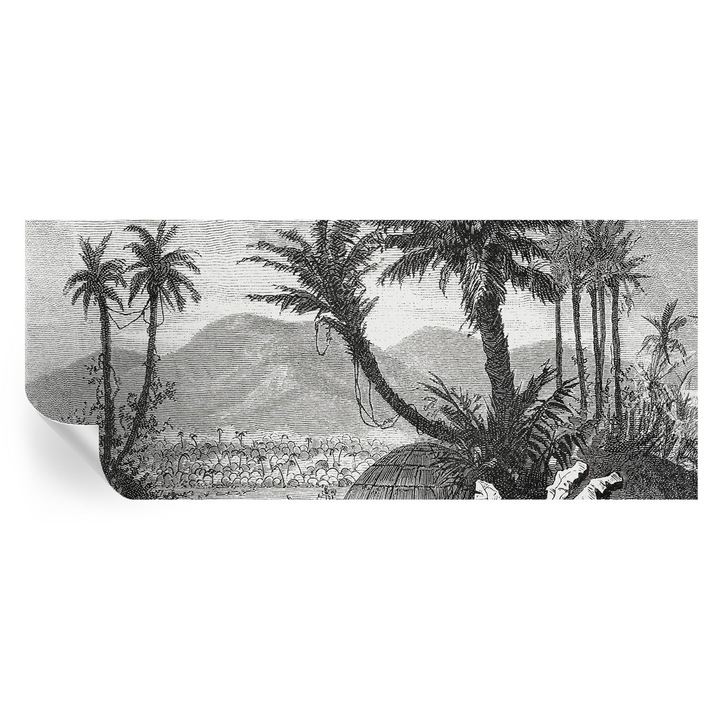 Öntapadós Tapéta Fali Dekoráció, Tulup, Trópusi oázis, Fekete és fehér, 250 x 104 cm, Dekor, Nedvességálló, 010170060020000285561