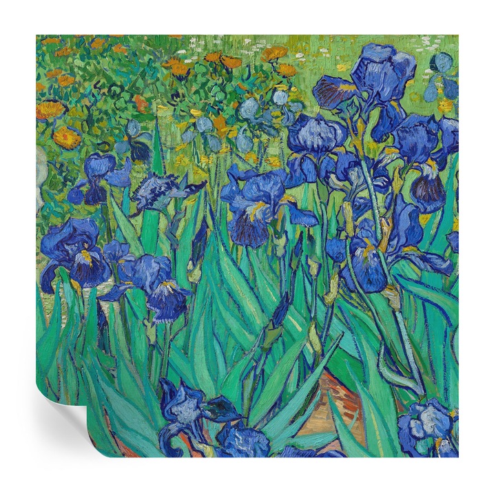 Öntapadós Fotótapéta Falra, Tulup, Kerti virágok, Kék, 250 x 250 cm, Dekoráció, Modern Belsőépítészeti Dekoráció, 010170060030000010617