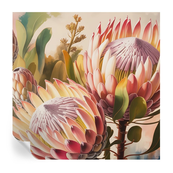 Öntapadós Tapéta Fali Dekoráció, Tulup, Protea virágok, Rózsaszín, 250 x 250 cm, Dekor, Nedvességálló, 010170060030000284812