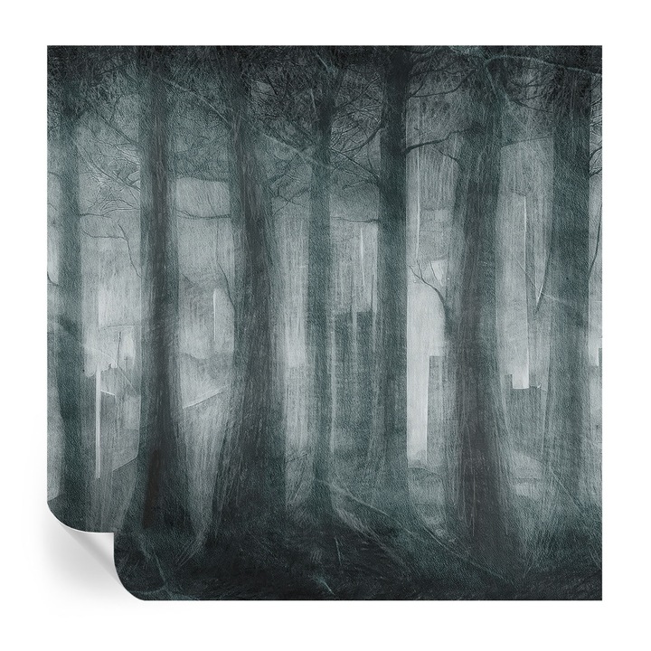 Öntapadós Dekor Tapéta, Tulup, Titokzatos erdő, Szürke, 250 x 250 cm, Dekoráció, Nappaliba, Hálószobába, 010170060030000285306