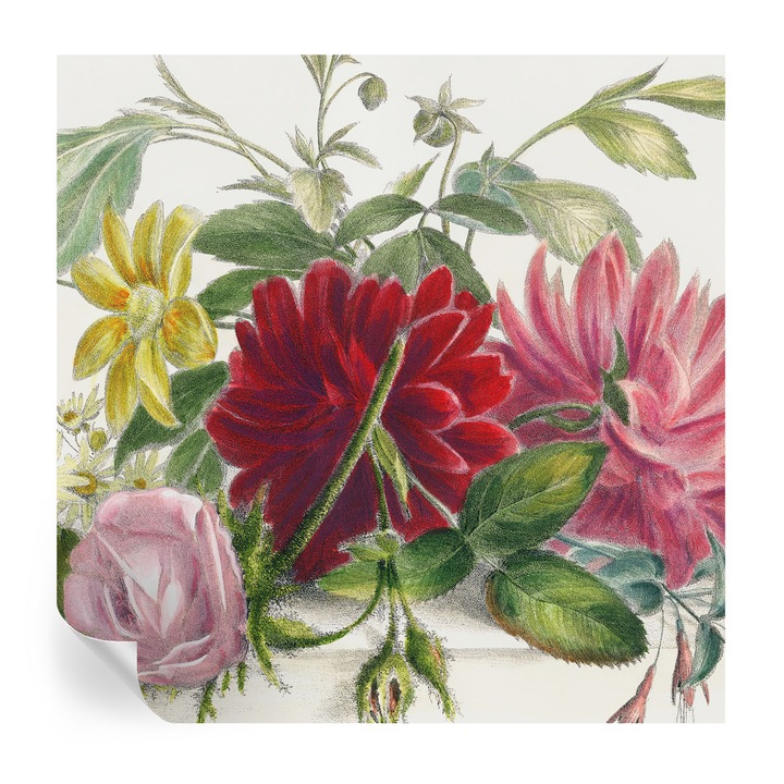 Öntapadós Tapéta Falra, Tulup, Virágcsokor, Zöld, 250 x 250 cm, Dekoráció, Nappaliba, Hálószobába, 010170060030000285428