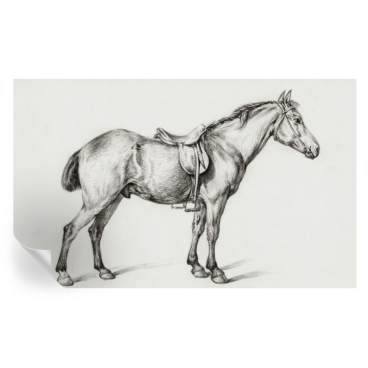 Öntapadós Tapéta Fali Dekoráció, Tulup, Vázlat egy lóról, Fekete és fehér, 416 x 254 cm, Dekor, Nedvesség- És Foltálló, 010170060070000018050