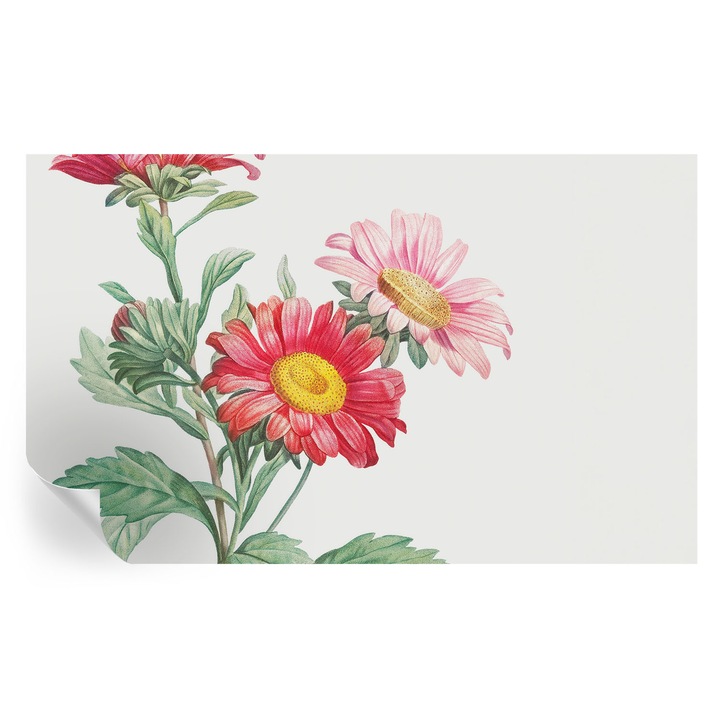 Öntapadós Tapéta Fali Dekoráció, Tulup, Finom virágok, Piros, 416 x 254 cm, Dekor, Könnyen Tisztítható, 010170060070000285414