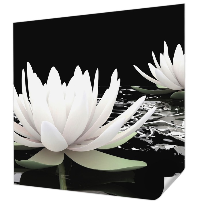 Fali Fotótapéta Autodeziv, Wallfluent, Flori de apa, Alb, 250 x 250 cm, Pentru Perete, Rezistente La Apa, Umiditate Si Pete, 010170060030000000696