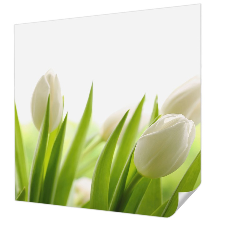 Tapet Textil Autocolant, Wallfluent, Lalele albe, Alb, 250 x 250 cm, Pentru Living, Birou, Hol, 010170060030000000511