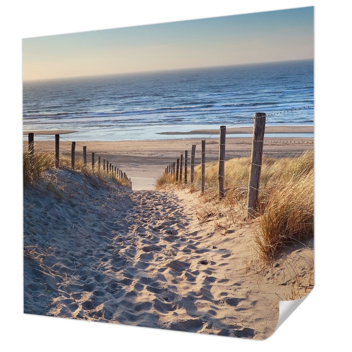 Tapet Autocolant De Perete, Wallfluent, Calea de plaja, Alb, 250 x 250 cm, Pentru Living, Birou, Hol, 010170060030000001640