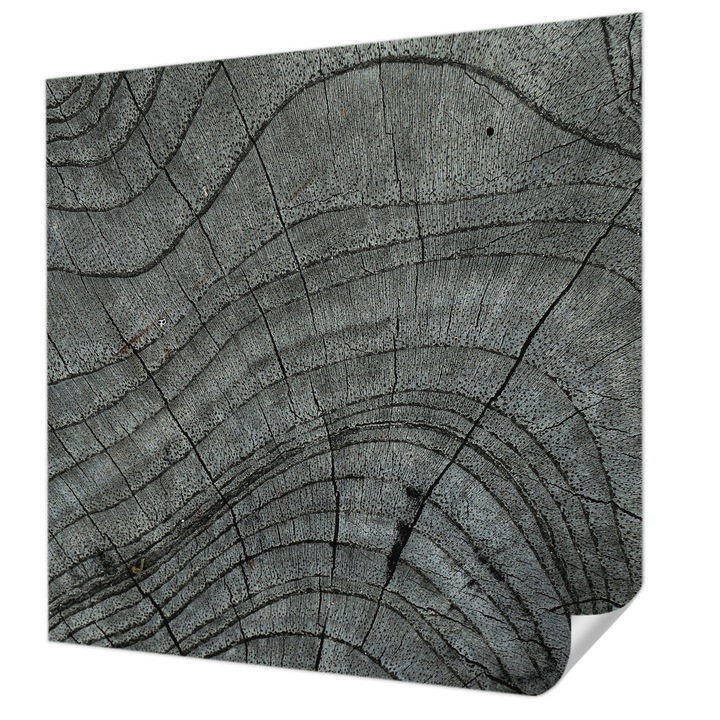 Tapet Textil Autocolant, Wallfluent, Model de granulatie, Gri, 250 x 250 cm, Pentru Perete, Rezistente La Apa, Umiditate Si Pete, 010170060030000282502