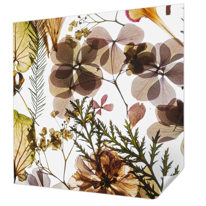 Fali Fotótapéta Autodeziv, Wallfluent, Compozitie naturala, Verde, 250 x 250 cm, Pentru Baie, Bucatarie, 010170060030000282759