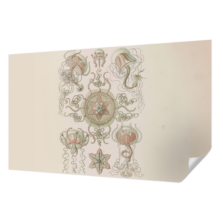 Tapet Autocolant De Perete, Wallfluent, Lumea subacvatica, Bej, 416 x 254 cm, Detasabil, Lavabil, 010170060070000285375