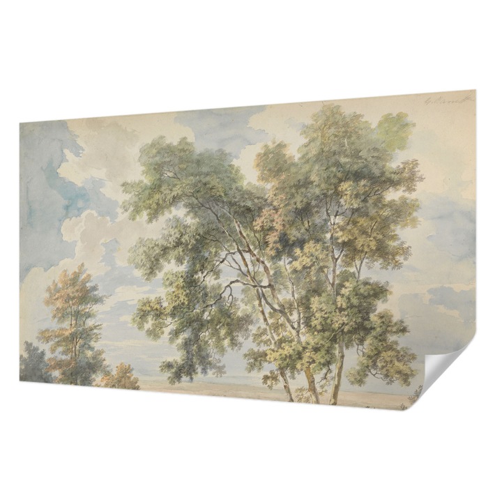 Tapet Textil Autocolant, Wallfluent, Natura romantica, Verde, 416 x 254 cm, Pentru Interior, Usor De Curatat, 010170060070000285528