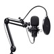 Microfon Trust Emita GXT270 cu brat birou, pentru Streaming, Podcast, Youtube, Vlogging, cardioid, USB, Cablu 2,5m, negru