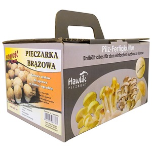 Bulbi, seminte si rasaduri