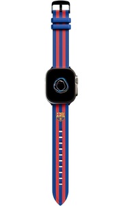 Cutii, curele si accesorii ceasuri