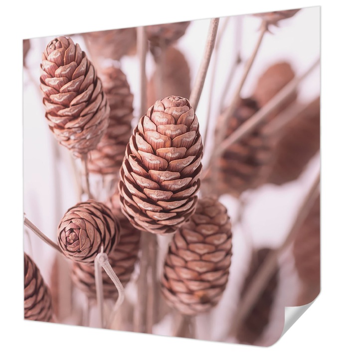 Tapet Autodeziv De Perete, Wallfluent, Eleganta naturala, Maro, 250 x 250 cm, Pentru Baie, Bucatarie, 010170060030000284891