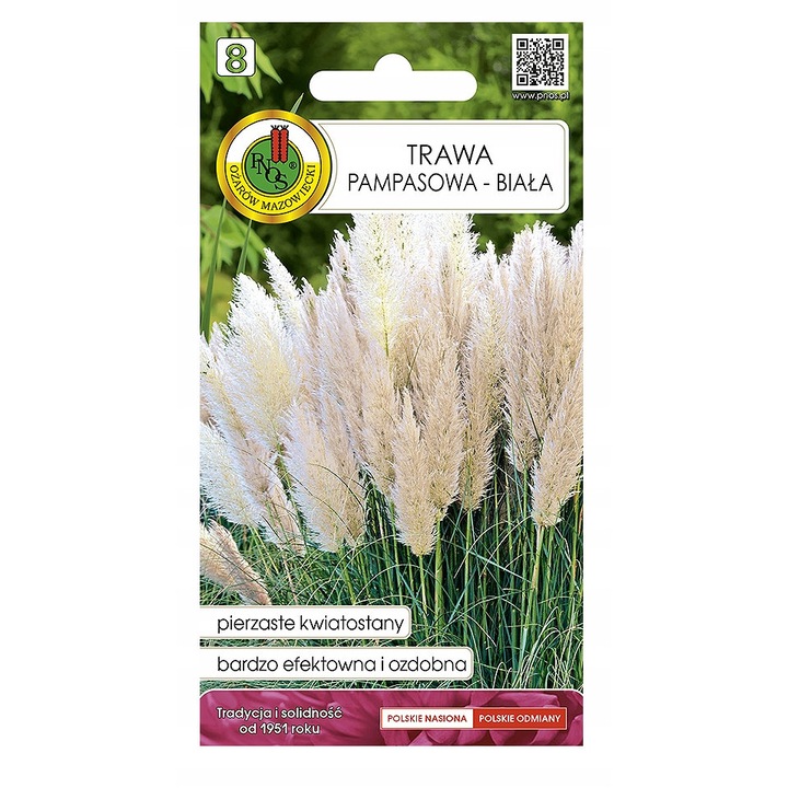 Seminte de Trawa Pampas, Pnos, alb, 0,2 g, inaltime pana la 200 cm, flori pana la 40 cm