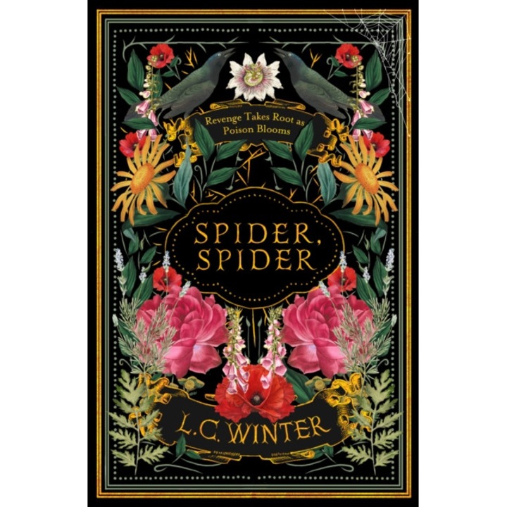 Spider, Spider - L. C. Winter