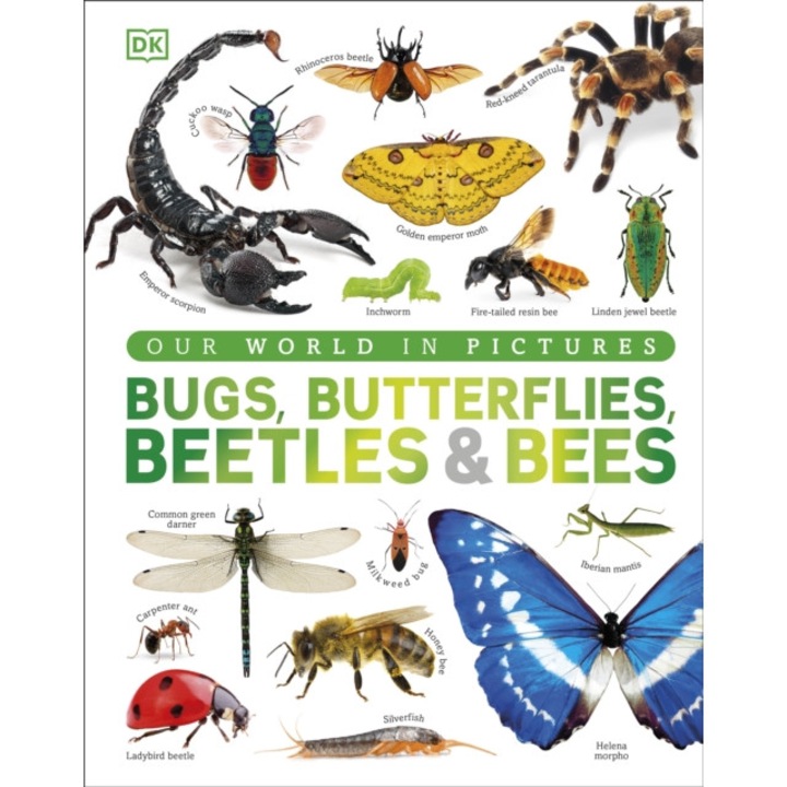 Our World In Pictures Bugs, Butterflies, Beetles And Bees -