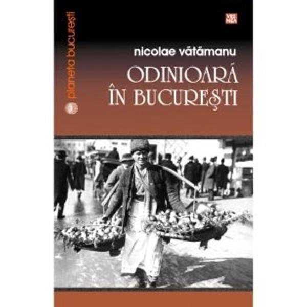 Odinioara in Bucuresti - N. Vatamanu