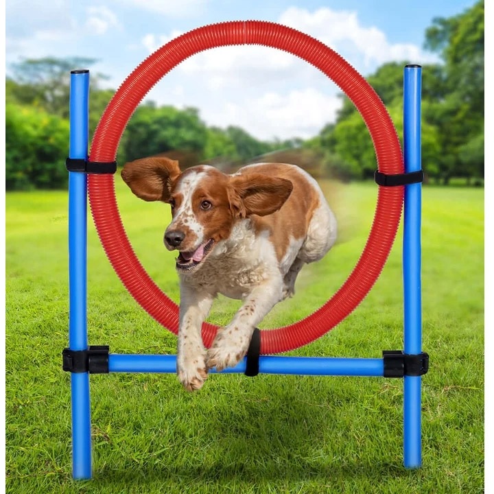 Set echipament dresaj Bakaji Skylou 7 tmch