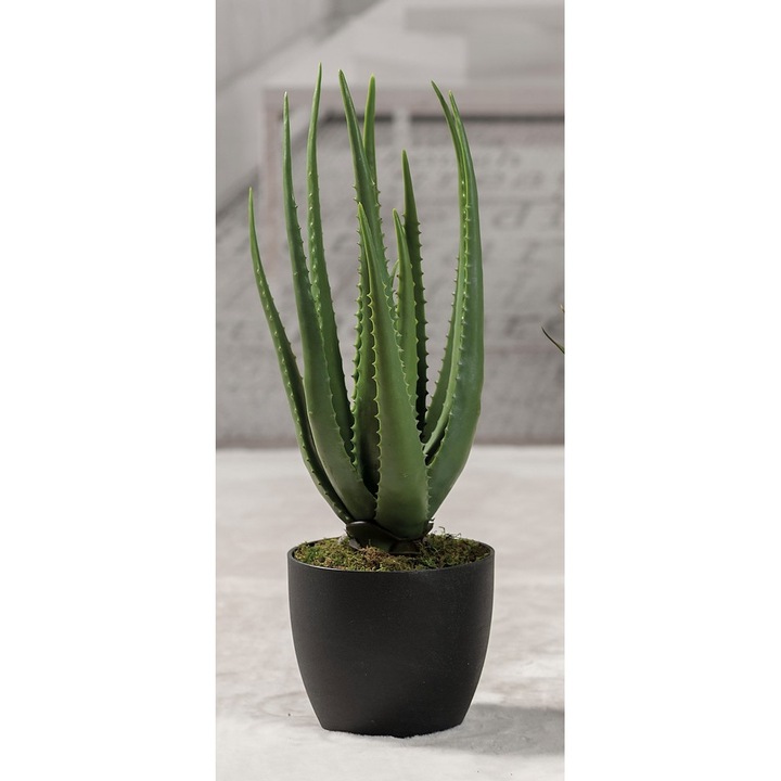 Mesterséges aloe cserépben 55 H