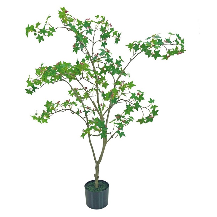 Artar verde in ghiveci 120 cm