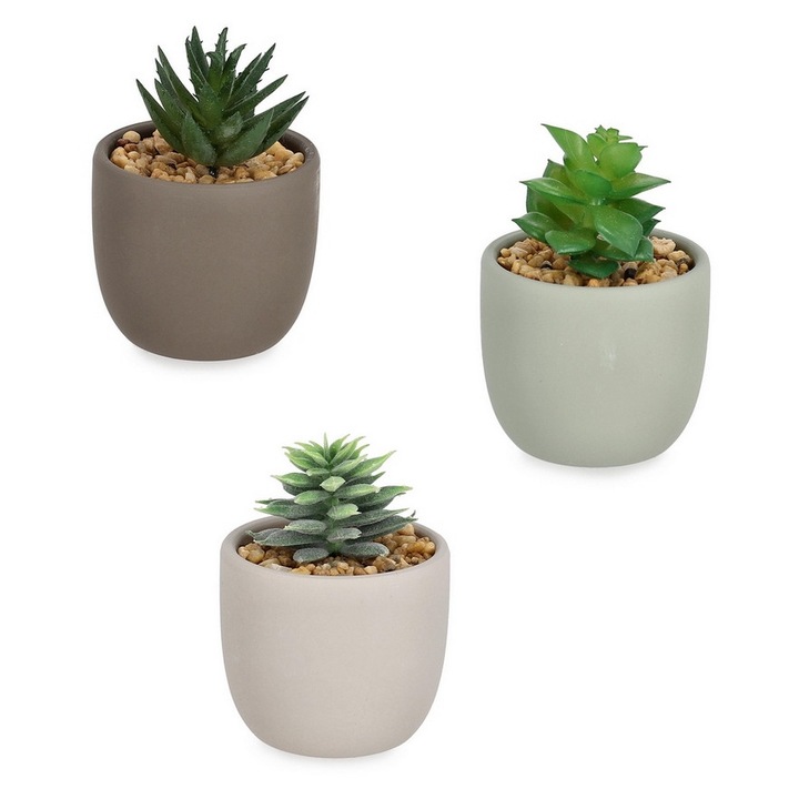 Set 3 plante suculente artificiale in ghiveci ceramica multicolora Ø7x10h