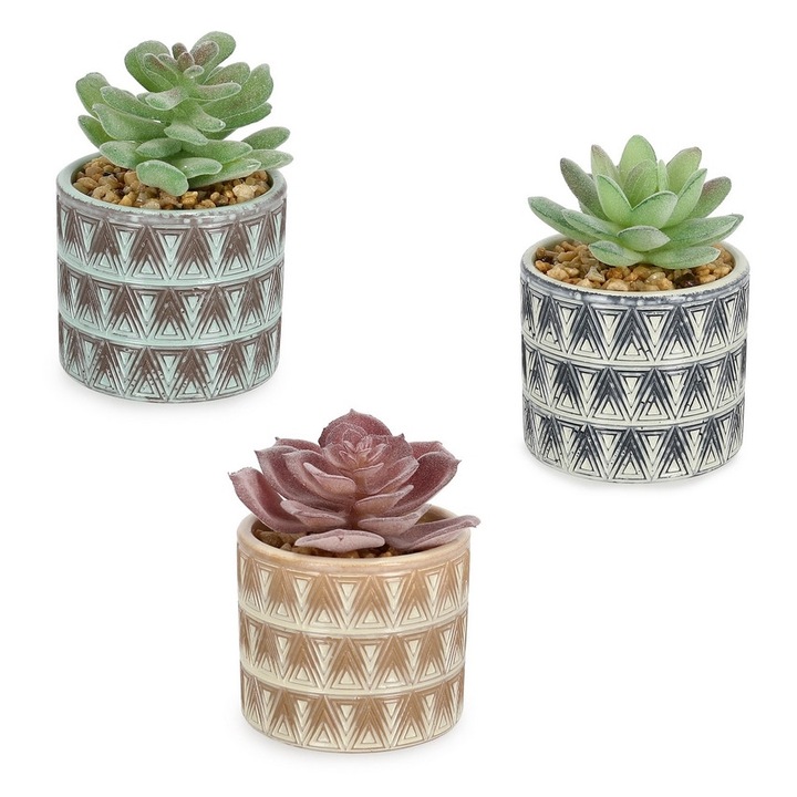 Set 3 plante suculente artificiale in ghiveci ceramica Ø7x11h