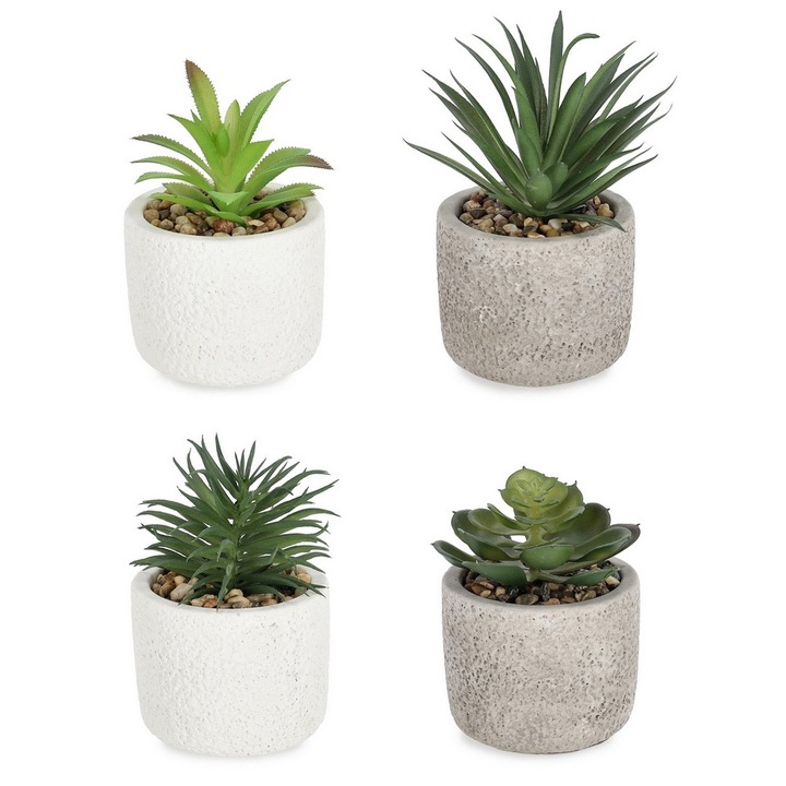 4 darab műnövény pozsgás növény cementcserépben Ø9x13h