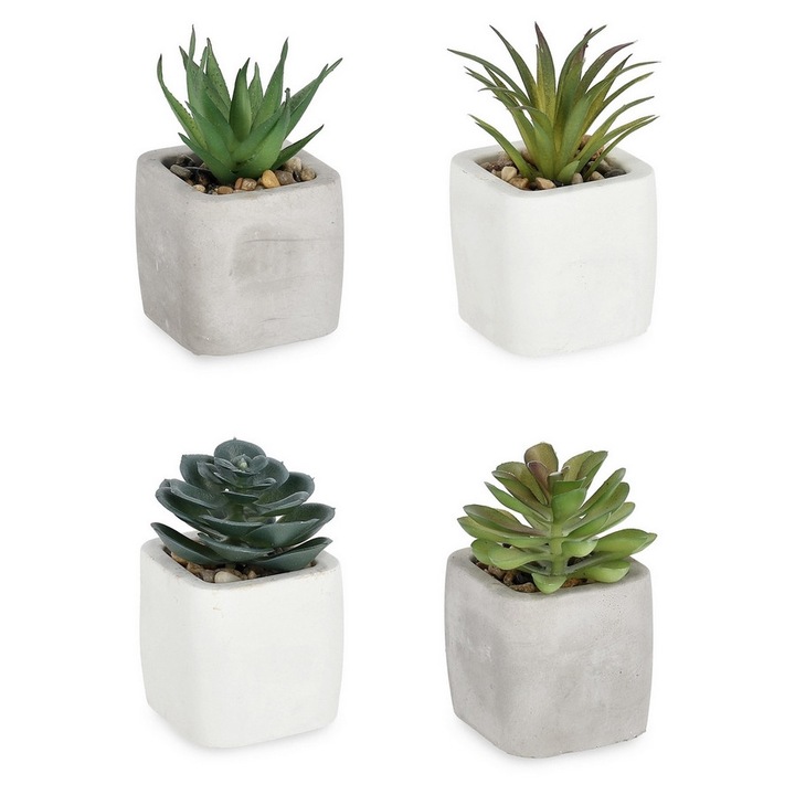 Set 4 plante suculente artificiale in ghiveci ciment 5,5x5,5x10h