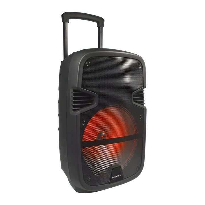 Boxa portabila VORTEX VO2619, 50W RMS, Bluetooth, Radio FM, negru