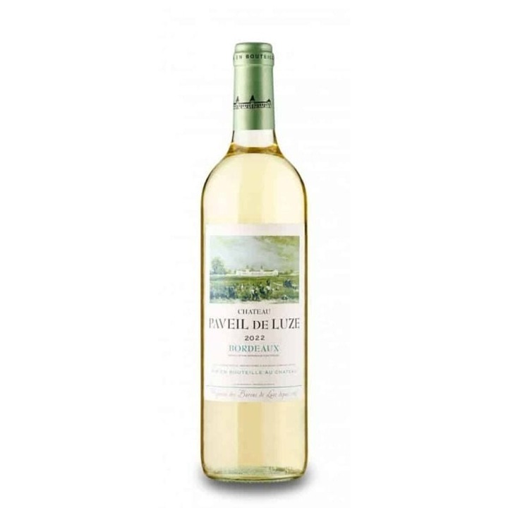Vin Alb Sec, Chateau Paveil de Luze Bordeaux Blanc 0.75L, cupaj Sauvignon Blanc, Sémillon, Franta, Bordeaux, AOP Bordeaux Blanc, proaspat & mineral