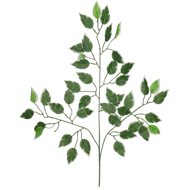 Műnövények, Luka, Ficus Benjamin levelek, zöld-fehér, 60x50cm, 3 ágból álló készlet