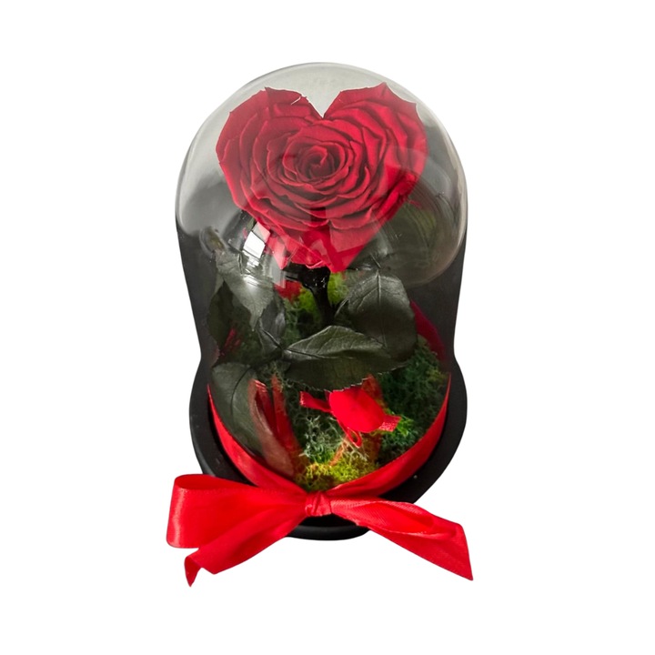 Aranjament cadou, eleganta ce dureaza ani, Trandafir Rosu Criogenat in forma de inima, licheni verzi stabilizati si cupola sticla H-18 cm, Simbolul iubirii eterne-Eleganta si Rafinament intr-o singura floare